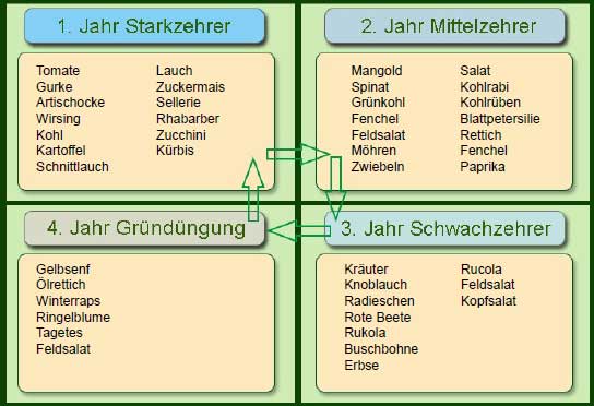 Schaubild Vierfelderwirtschaft